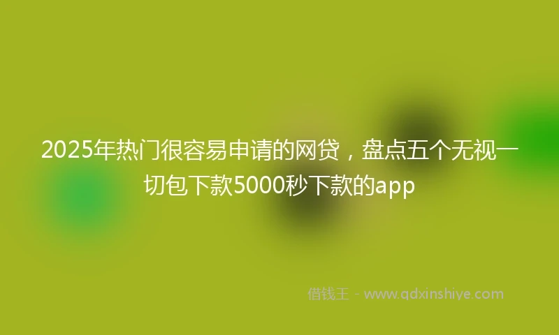 2025年热门很容易申请的网贷，盘点五个无视一切包下款5000秒下款的app