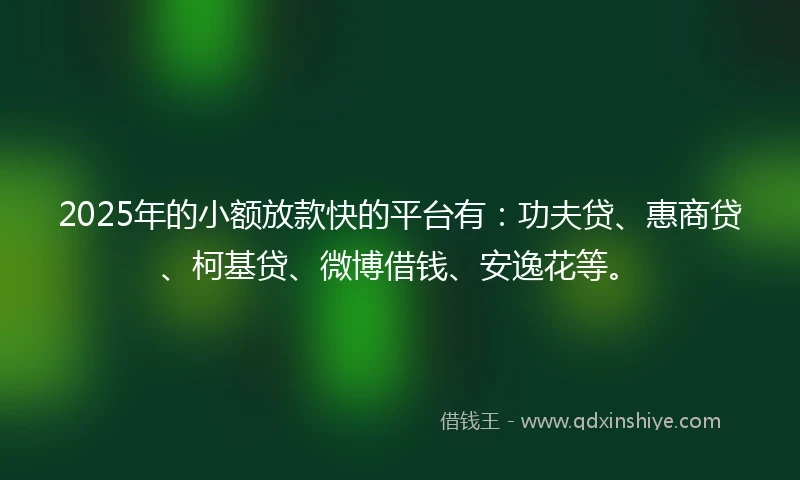 2025年的小额放款快的平台有：功夫贷、惠商贷、柯基贷、微博借钱、安逸花等。