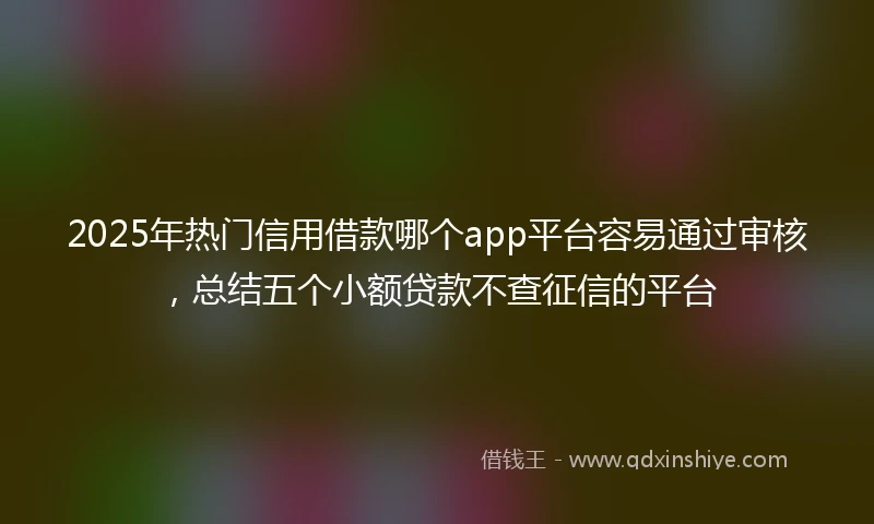 2025年热门信用借款哪个app平台容易通过审核，总结五个小额贷款不查征信的平台