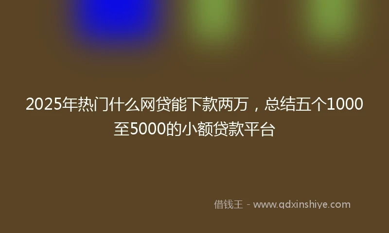 2025年热门什么网贷能下款两万，总结五个1000至5000的小额贷款平台