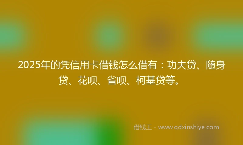 2025年的凭信用卡借钱怎么借有：功夫贷、随身贷、花呗、省呗、柯基贷等。