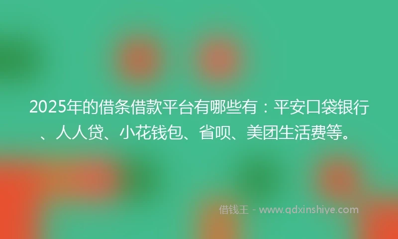 2025年的借条借款平台有哪些有：平安口袋银行、人人贷、小花钱包、省呗、美团生活费等。