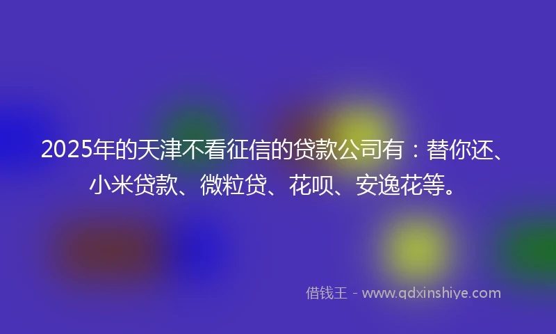 2025年的天津不看征信的贷款公司有：替你还、小米贷款、微粒贷、花呗、安逸花等。