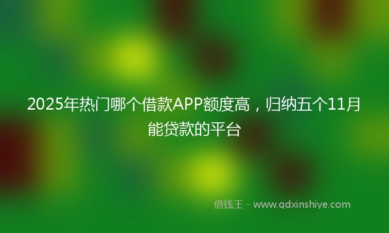 2025年热门哪个借款APP额度高，归纳五个11月能贷款的平台