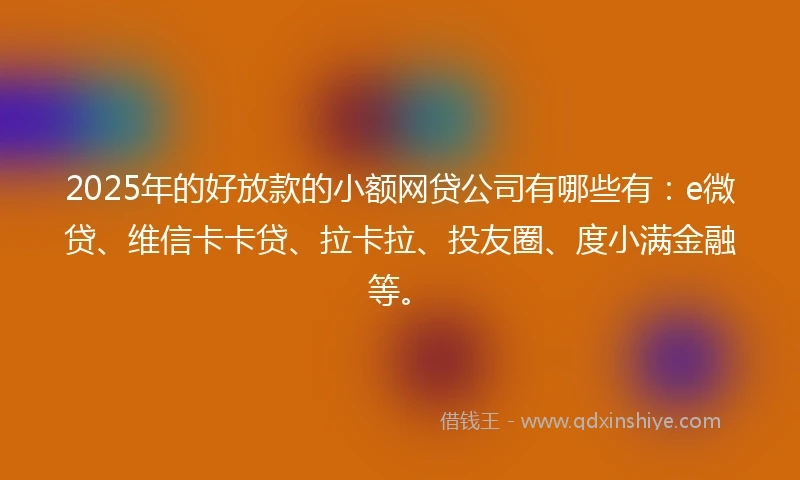 2025年的好放款的小额网贷公司有哪些有：e微贷、维信卡卡贷、拉卡拉、投友圈、度小满金融等。