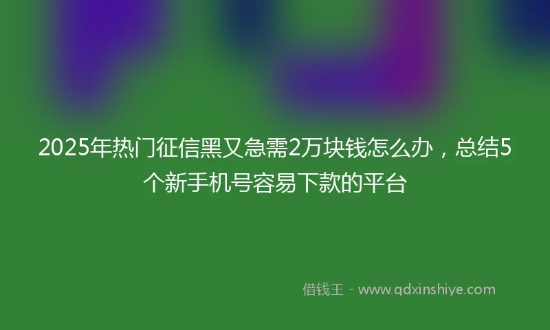 2025年热门征信黑又急需2万块钱怎么办，总结5个新手机号容易下款的平台