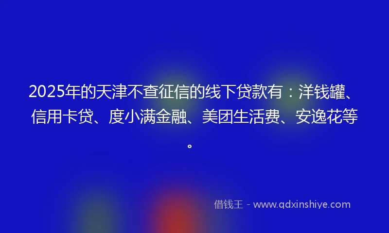 2025年的天津不查征信的线下贷款有：洋钱罐、信用卡贷、度小满金融、美团生活费、安逸花等。