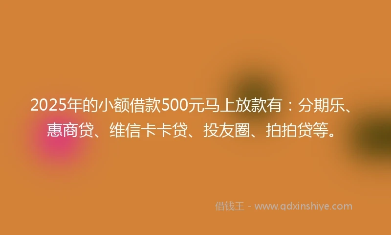 2025年的小额借款500元马上放款有：分期乐、惠商贷、维信卡卡贷、投友圈、拍拍贷等。