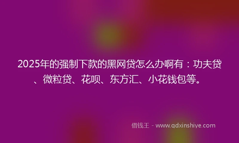 2025年的强制下款的黑网贷怎么办啊有：功夫贷、微粒贷、花呗、东方汇、小花钱包等。