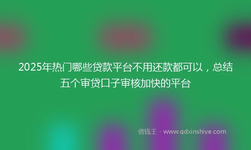 2025年热门哪些贷款平台不用还款都可以，总结五个审贷口子审核加快的平台