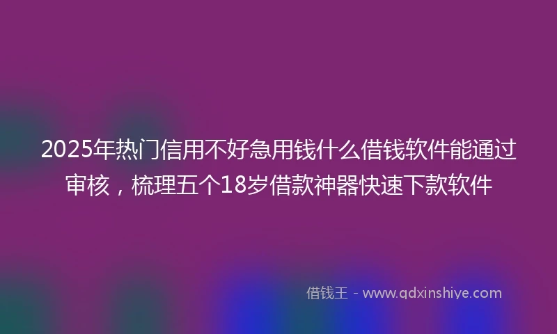 2025年热门信用不好急用钱什么借钱软件能通过审核，梳理五个18岁借款神器快速下款软件