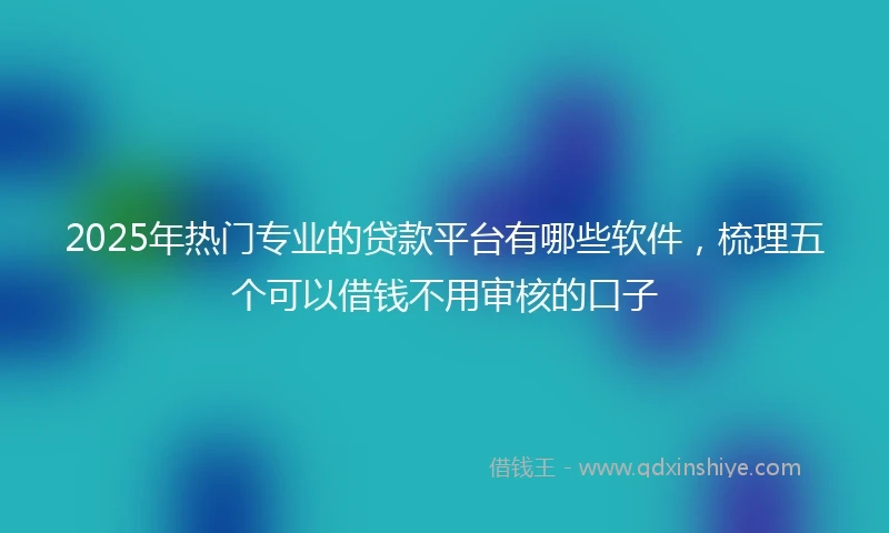 2025年热门专业的贷款平台有哪些软件，梳理五个可以借钱不用审核的口子