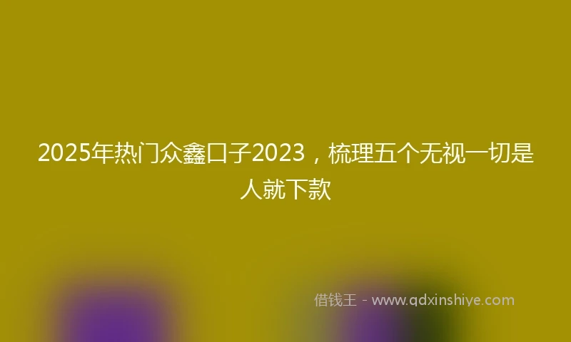 2025年热门众鑫口子2023，梳理五个无视一切是人就下款