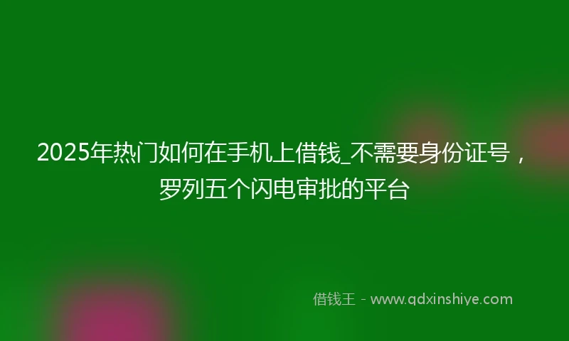2025年热门如何在手机上借钱_不需要身份证号，罗列五个闪电审批的平台