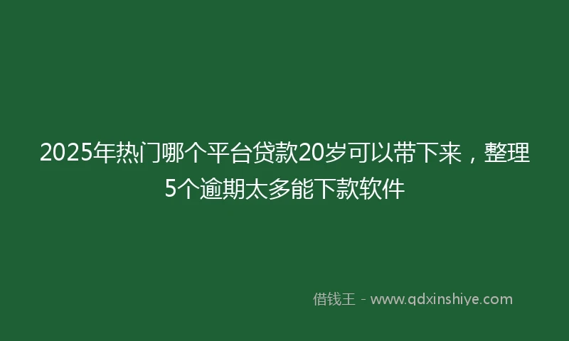 2025年热门哪个平台贷款20岁可以带下来，整理5个逾期太多能下款软件