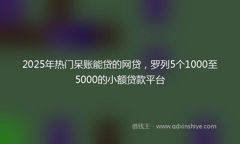 2025年热门呆账能贷的网贷，罗列5个1000至5000的小额贷款平台