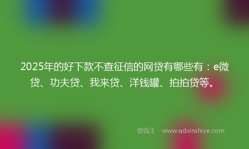 2025年的好下款不查征信的网贷有哪些有：e微贷、功夫贷、我来贷、洋钱罐、拍拍贷等。