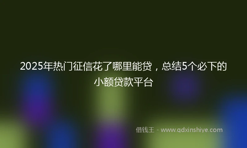 2025年热门征信花了哪里能贷，总结5个必下的小额贷款平台