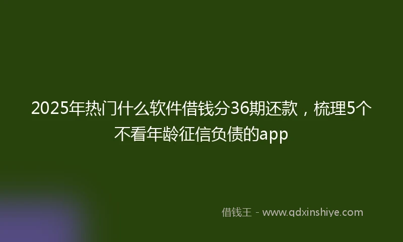 2025年热门什么软件借钱分36期还款，梳理5个不看年龄征信负债的app