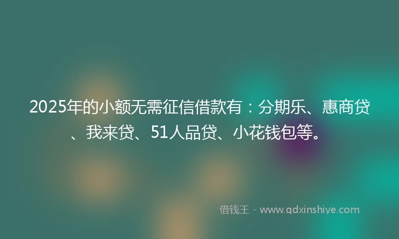 2025年的小额无需征信借款有：分期乐、惠商贷、我来贷、51人品贷、小花钱包等。