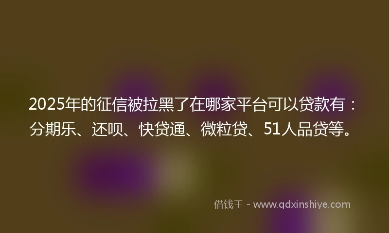 2025年的征信被拉黑了在哪家平台可以贷款有：分期乐、还呗、快贷通、微粒贷、51人品贷等。