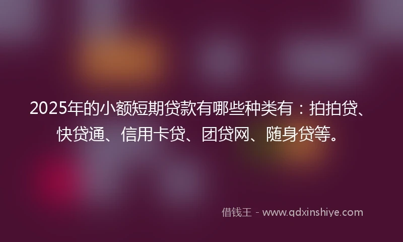 2025年的小额短期贷款有哪些种类有：拍拍贷、快贷通、信用卡贷、团贷网、随身贷等。