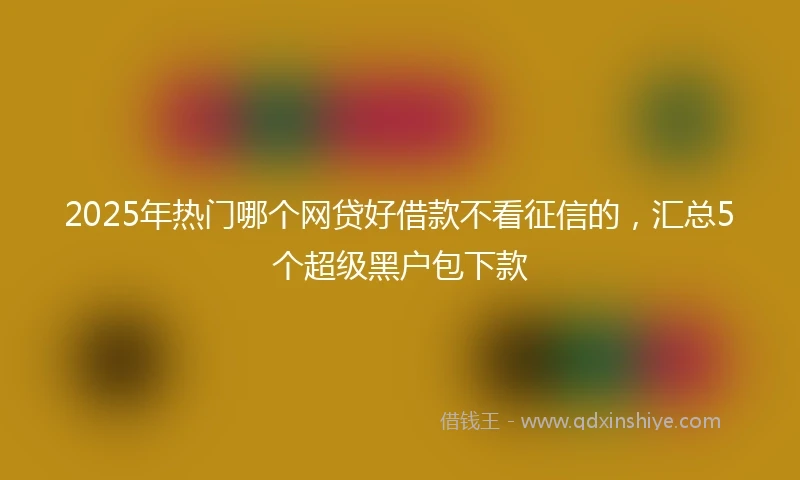 2025年热门哪个网贷好借款不看征信的，汇总5个超级黑户包下款