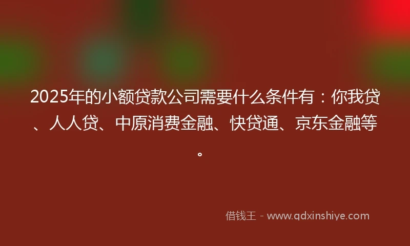 2025年的小额贷款公司需要什么条件有：你我贷、人人贷、中原消费金融、快贷通、京东金融等。