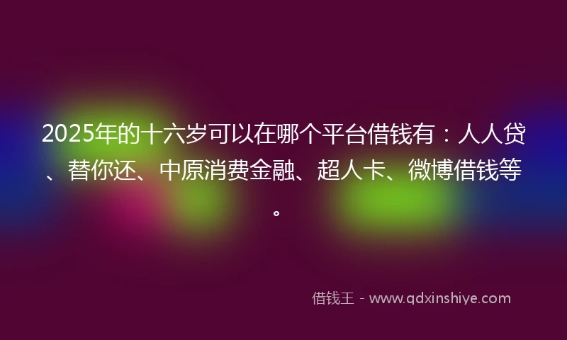 2025年的十六岁可以在哪个平台借钱有：人人贷、替你还、中原消费金融、超人卡、微博借钱等。