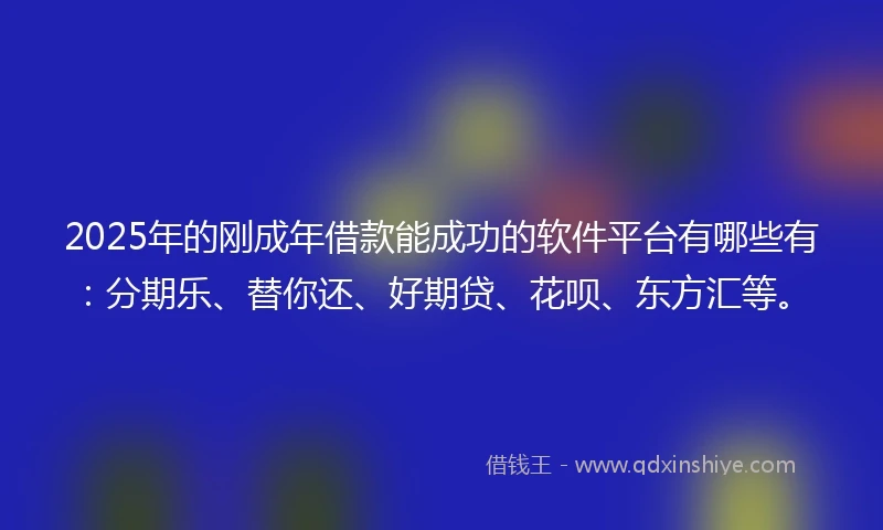 2025年的刚成年借款能成功的软件平台有哪些有：分期乐、替你还、好期贷、花呗、东方汇等。