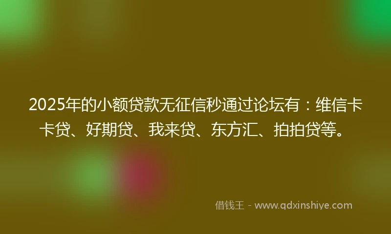 2025年的小额贷款无征信秒通过论坛有：维信卡卡贷、好期贷、我来贷、东方汇、拍拍贷等。