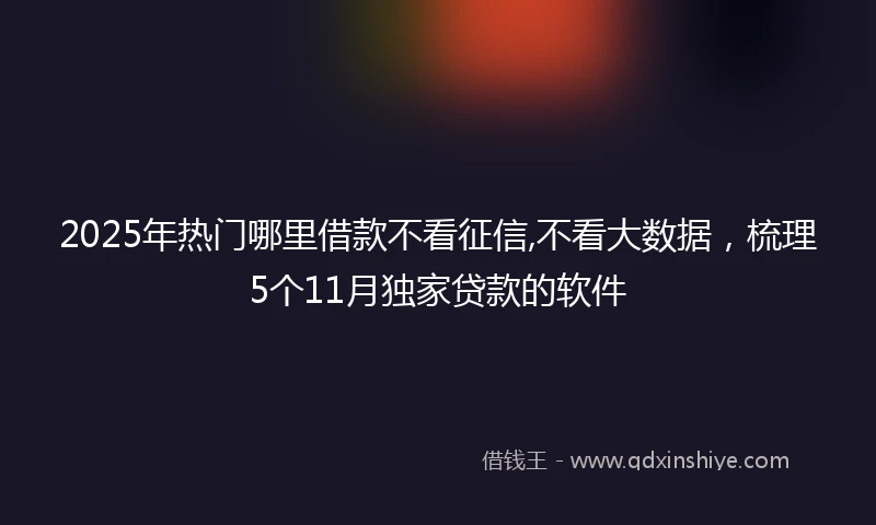 2025年热门哪里借款不看征信,不看大数据，梳理5个11月独家贷款的软件