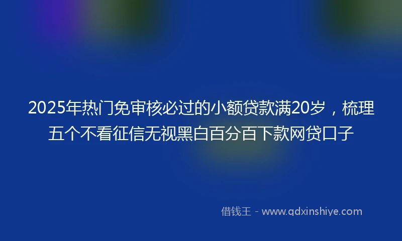 2025年热门免审核必过的小额贷款满20岁，梳理五个不看征信无视黑白百分百下款网贷口子