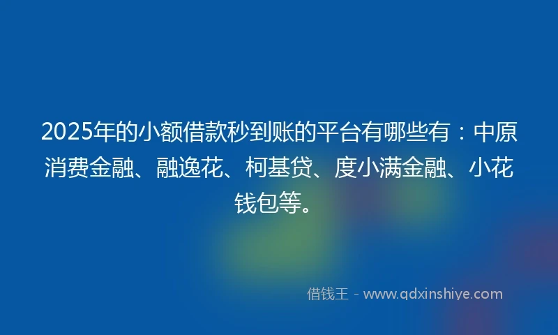 2025年的小额借款秒到账的平台有哪些有：中原消费金融、融逸花、柯基贷、度小满金融、小花钱包等。