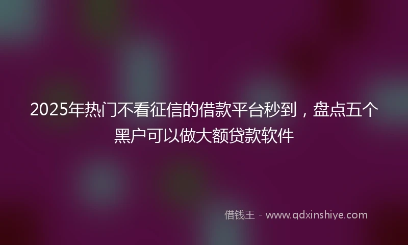 2025年热门不看征信的借款平台秒到，盘点五个黑户可以做大额贷款软件