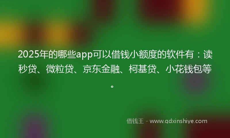 2025年的哪些app可以借钱小额度的软件有：读秒贷、微粒贷、京东金融、柯基贷、小花钱包等。