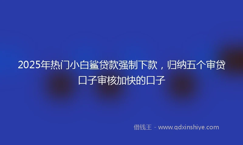 2025年热门小白鲨贷款强制下款，归纳五个审贷口子审核加快的口子