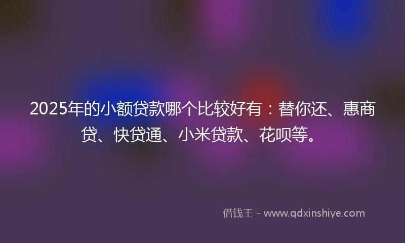 2025年的小额贷款哪个比较好有：替你还、惠商贷、快贷通、小米贷款、花呗等。