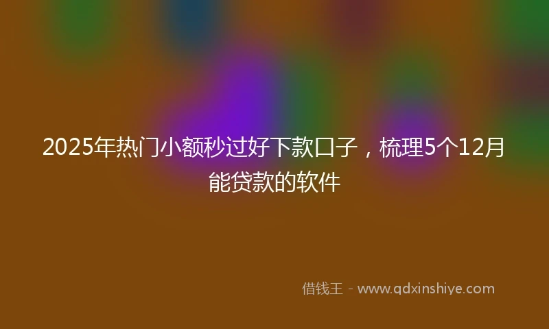 2025年热门小额秒过好下款口子，梳理5个12月能贷款的软件