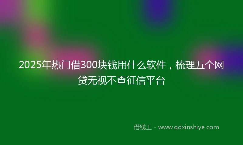 2025年热门借300块钱用什么软件，梳理五个网贷无视不查征信平台
