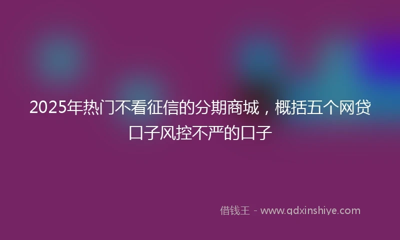 2025年热门不看征信的分期商城，概括五个网贷口子风控不严的口子