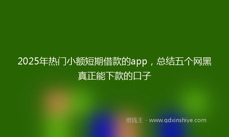 2025年热门小额短期借款的app，总结五个网黑真正能下款的口子
