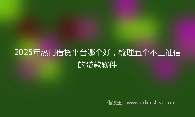 2025年热门借贷平台哪个好，梳理五个不上征信的贷款软件