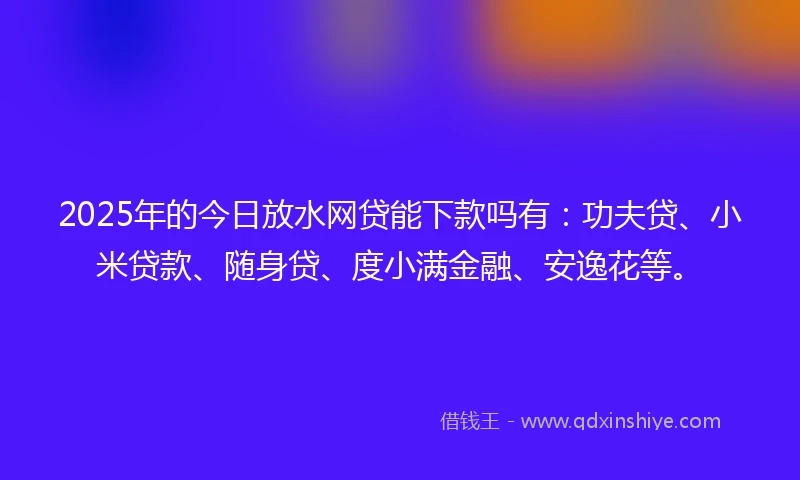 2025年的今日放水网贷能下款吗有：功夫贷、小米贷款、随身贷、度小满金融、安逸花等。
