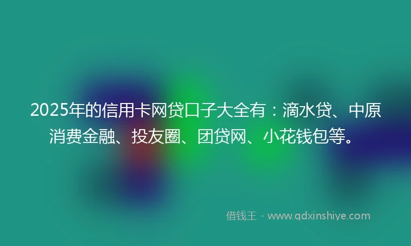 2025年的信用卡网贷口子大全有：滴水贷、中原消费金融、投友圈、团贷网、小花钱包等。