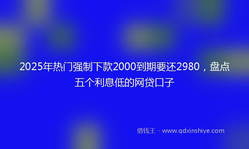 2025年热门强制下款2000到期要还2980，盘点五个利息低的网贷口子
