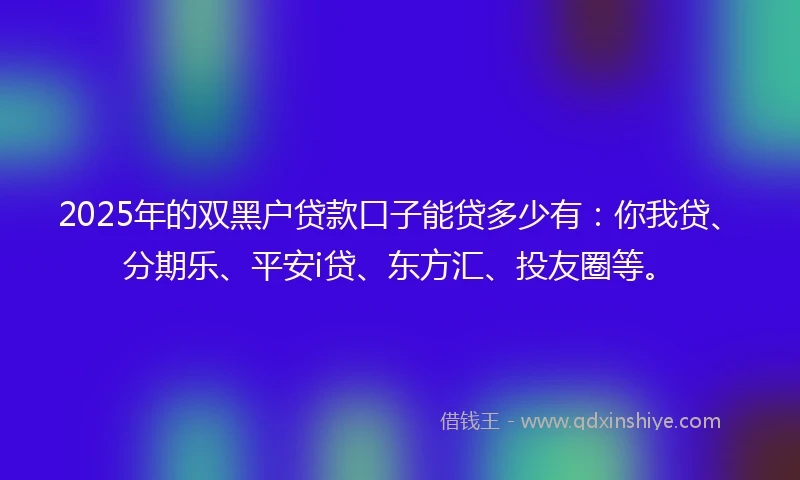 2025年的双黑户贷款口子能贷多少有：你我贷、分期乐、平安i贷、东方汇、投友圈等。