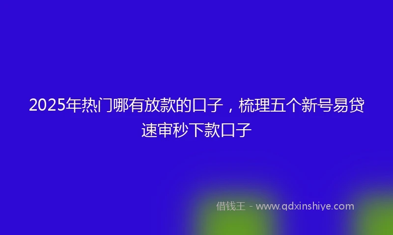 2025年热门哪有放款的口子，梳理五个新号易贷速审秒下款口子