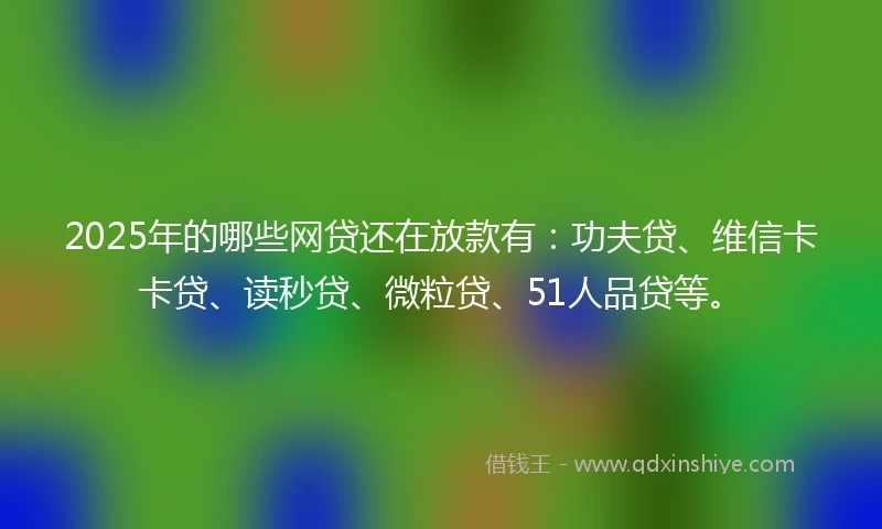 2025年的哪些网贷还在放款有：功夫贷、维信卡卡贷、读秒贷、微粒贷、51人品贷等。