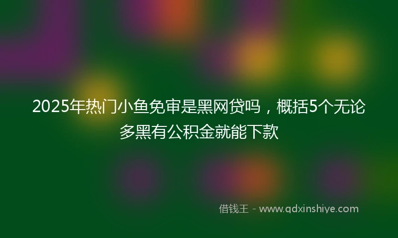 2025年热门小鱼免审是黑网贷吗，概括5个无论多黑有公积金就能下款